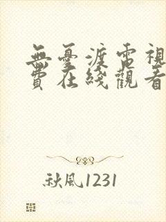 无忧渡电视剧免费在线观看