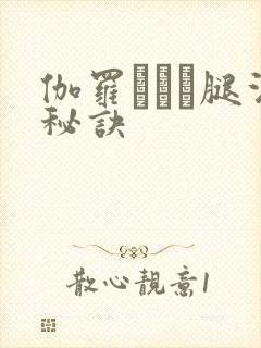 伽罗ちゃん腿法秘诀