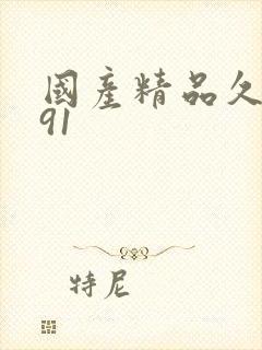 国产精品久久久91