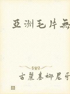 亚洲毛片无遮挡