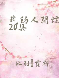 我的人间烟火第20集