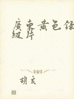 广东黄色录像一级片