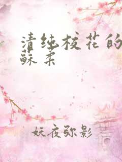 清纯校花的日常苏柔