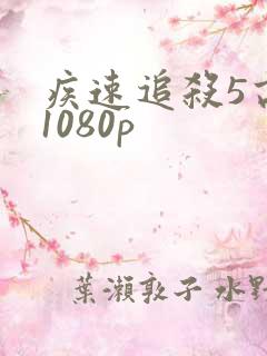 疾速追杀5高清1080p