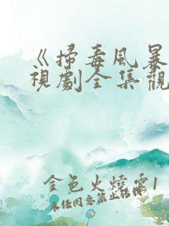 《扫毒风暴》电视剧全集观看高清