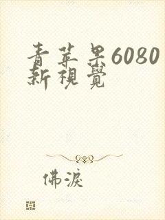 青苹果6080新视觉