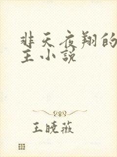 非天夜翔的双男主小说