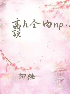 高h全肉np小说