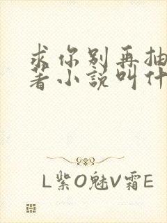 求你别再抽了原著小说叫什么