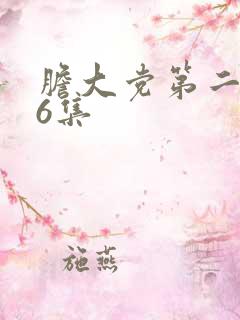 胆大党第二季第6集