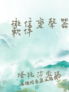 微信变声器聊天软件