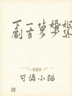 下一站婚姻电视剧有多少集