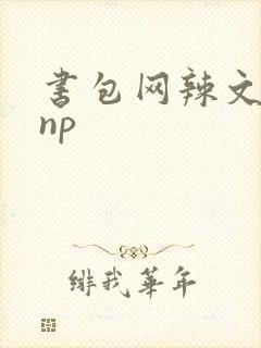 书包网辣文调教np