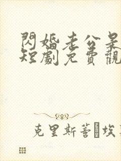 闪婚老公是总裁短剧免费观看