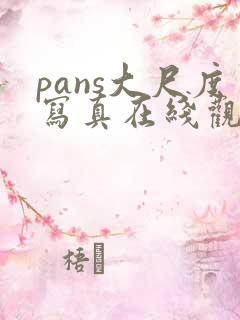 pans大尺度写真在线观看