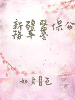 新疆医保公共服务平台