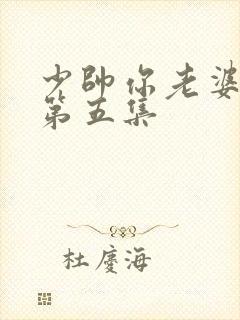 少帅你老婆又跑第五集