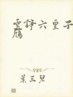 云铮六皇子沈落雁
