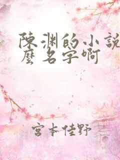 陈渊的小说叫什么名字啊