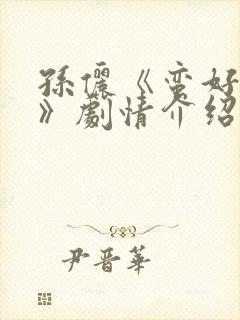 孙俪《蛮好人生》剧情介绍