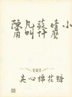 陈凡苏晴小说主角叫什么