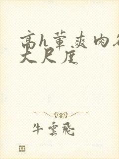 高h荤爽肉欲文大尺度