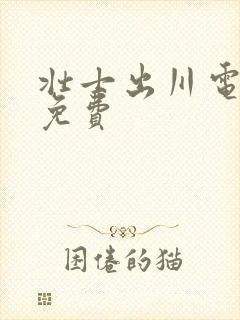 壮士出川电视剧免费