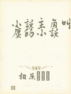 小说主角叫李沐尘的小说