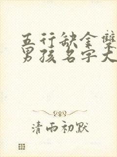 五行缺金双胞胎男孩名字大全集