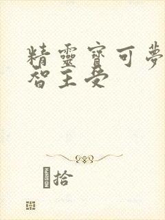 精灵宝可梦之小智主受