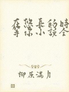 在悠长的时光里等你小说全文免费阅读