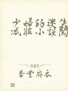 少妇的迷失无删减版小说阅读