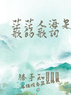 茫茫人海是哪首歌的歌词