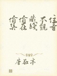 偷偷藏不住剧全集在线观看免费