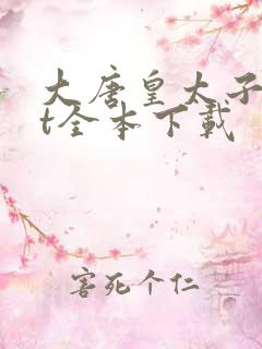 大唐皇太子txt全本下载