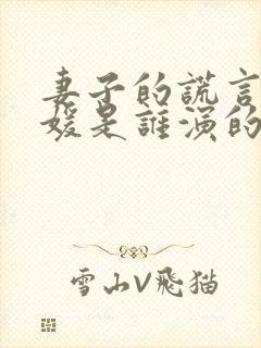 妻子的谎言孙佳媛是谁演的