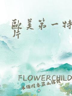 欧美第一特黄大片