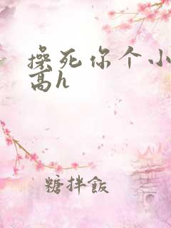 操死你个小骚货高h