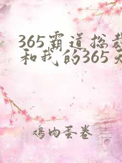 365霸道总裁和我的365天
