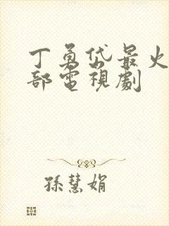 丁勇岱最火的5部电视剧