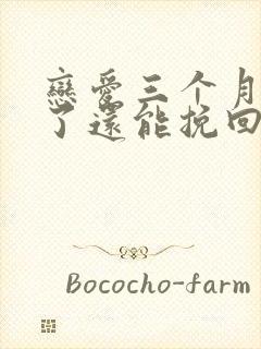 恋爱三个月分手了还能挽回吗