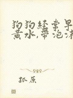 狗狗经常早上吐黄水,带泡沫