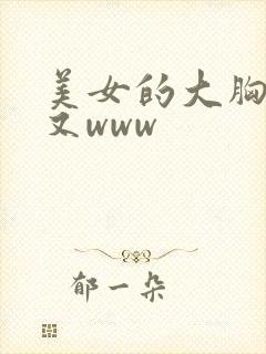 美女的大胸又黄又www