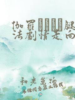 伽罗ちゃんが腿法剧情走向