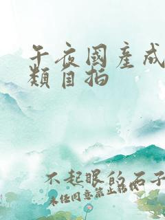 午夜国产成人另类自拍