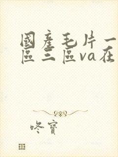 国产毛片一区二区三区va在线