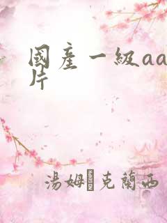 国产一级aaa片