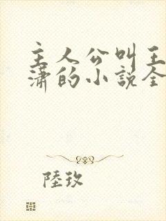 主人公叫王东唐潇的小说全文免费阅读笔趣阁