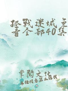 孤战迷城免费观看全部40集