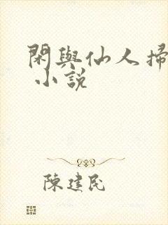 闲与仙人扫落花 小说